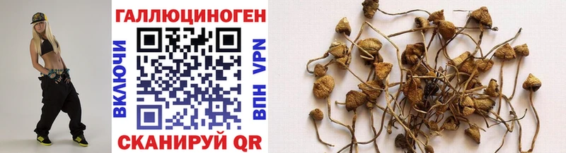Галлюциногенные грибы GOLDEN TEACHER Купить Верещагино