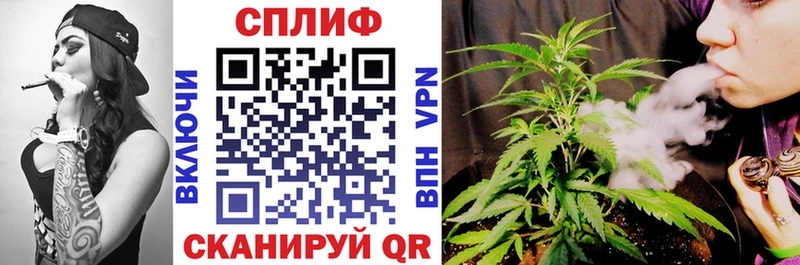 Купить  Верещагино  Бошки Шишки тримм 